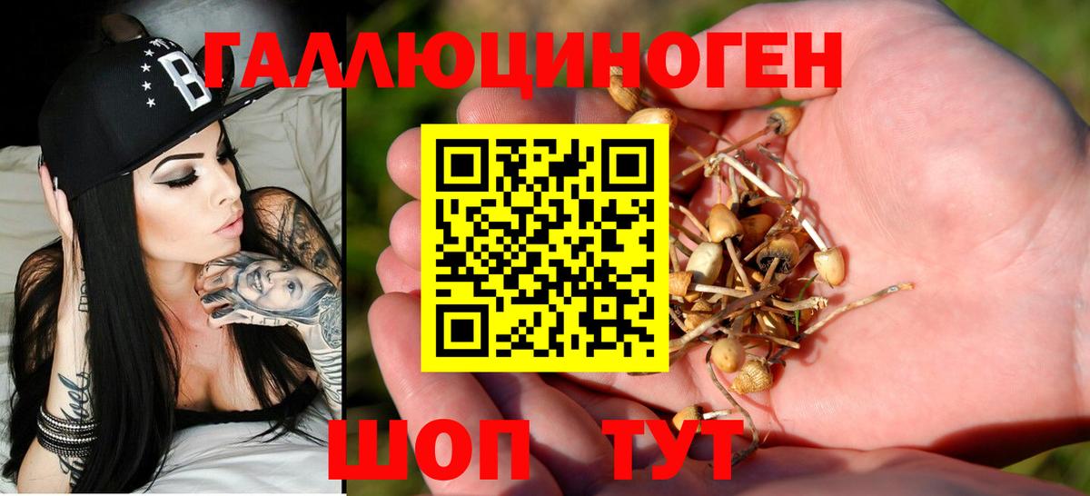 Волгодонск  цена   Вход с VPN  Галлюциногенные грибы прущие грибы 